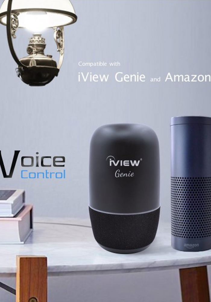 iView